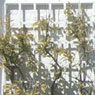 Aldeburgh