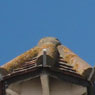Aldeburgh