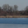 Brandenburg an der Havel