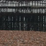 Brighton