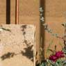 Chelsea Flower Show 2013