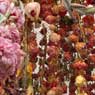 Chelsea Flower Show 2013