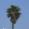 Los Angeles