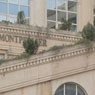 Montpellier