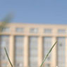 Montpellier