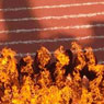 Olympic and Paralympic Games, London 2012
