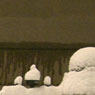 Snow in London, 2 Feb 2009