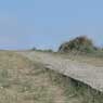 Beach in Sizewell