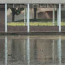 Thamesmead estate
